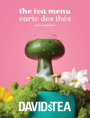 Davids Tea catalogue in Surrey | Tea Spring Menu | 2025-03-13T00:00:00.000Z - 2025-06-21T00:00:00.000Z