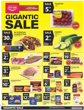 Gigantic Sale