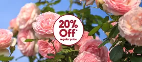 20% Off Sale