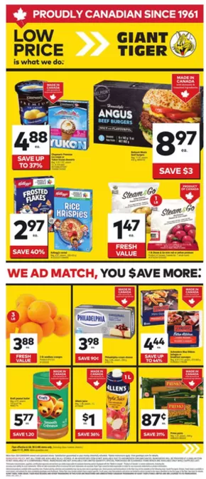 Giant Tiger catalogue in Winnipeg | Weekly Flyer | 2025-06-11T00:00:00.000Z - 2025-06-17T00:00:00.000Z