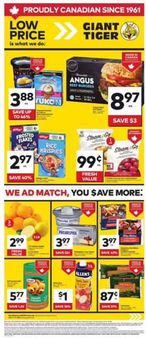 Giant Tiger catalogue in St. Catharines | Discounts and promotions | 2025-06-11T00:00:00.000Z - 2025-06-17T00:00:00.000Z