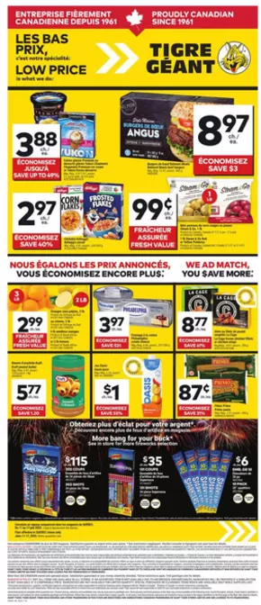 Giant Tiger catalogue | Exclusive bargains | 2025-06-11T00:00:00.000Z - 2025-06-17T00:00:00.000Z