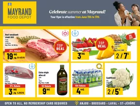 Mayrand flyer