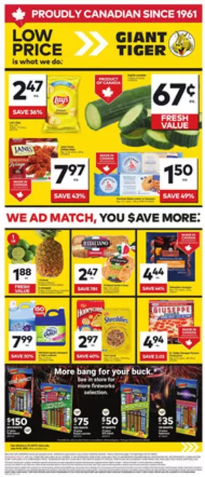 Giant Tiger catalogue in Grand Falls | Current special promotions | 2025-06-18T00:00:00.000Z - 2025-06-24T00:00:00.000Z