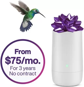 Telus catalogue in St. Catharines | Current deals and offers | 2025-06-30T00:00:00.000Z - 2025-07-30T00:00:00.000Z